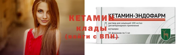 шишки Бронницы