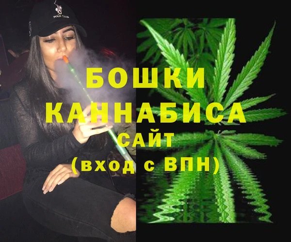 мяу мяу мука Бородино