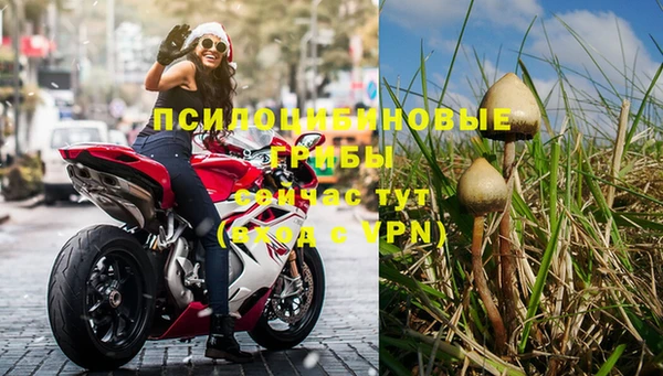 ГАЛЛЮЦИНОГЕННЫЕ ГРИБЫ Верхнеуральск