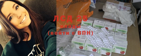шишки Бронницы