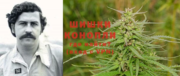 шишки Бронницы